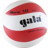  Мяч вол. "GALA Bora 10" арт. BV5671S, р. 5, синт. кожа ПВХ, клееный, бут. кам, бело-красный 	Мяч вол. "GALA Bora 10" арт. BV5671S, р. 5, синт. кожа ПВХ, клееный, бут. кам, бело-красный